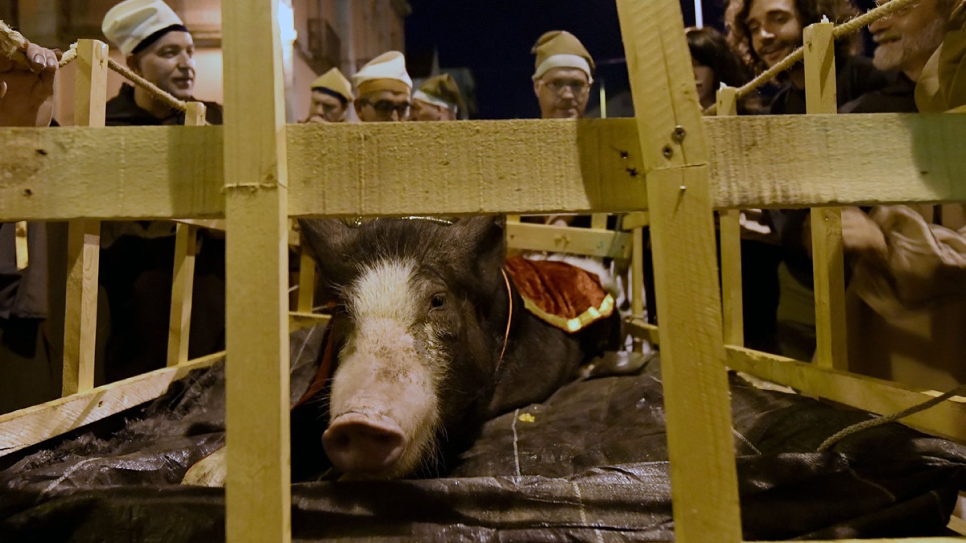 Corrida-Porco-Preto-02